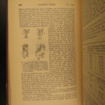1887 Charles Darwin Variation Under Domestication Biology Plant Evolution German