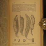 1887 Charles Darwin Variation Under Domestication Biology Plant Evolution German