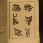 1784 Physiognomy Essays DUTCH Lavater Illustrated Occult Sciences Psychology