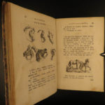 1784 Physiognomy Essays DUTCH Lavater Illustrated Occult Sciences Psychology