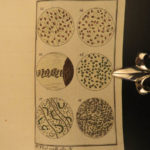 1785 Buffon Natural History SCIENCE Color Illustrated Evolution Microbiology 5v