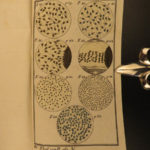 1785 Buffon Natural History SCIENCE Color Illustrated Evolution Microbiology 5v