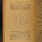 1885 Charles Darwin Movement of Plants Botany Gardens Seeds Evolution Science