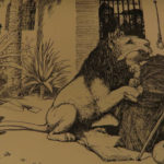 1899 1st ed Andrew Lang Red Animal Stories Woolly Mammoth Jaguar Fine Binding
