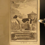 1769 Buffon Illustrated DOGS Cats Deer Angora Sheep Goats Animals Natural History