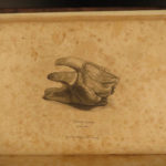 1800 1st English ed Sonnini Travels in EGYPT Egyptian Sexuality Archaeology