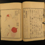 1859 Japanese Medicine & Surgery Honma Soken Growths COLOR Illustrations Japan