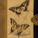 1835 1ed BUTTERFLY Natural History British Butterflies Duncan Color Illustrated