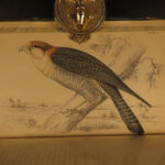 1837 Jardine BIRDS West Africa 34 Hand-Colored Illustrated Aviary ORNITHOLGY