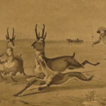 1890 1ed Big Game Hunting of North America Deer Polar Bears Caribou Wolves Goats
