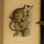1889 1ed Queensland Cannibals Lumholtz Australia Aborigine Illustrated Maps
