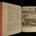1775 Liger Rustic House Bees Beekeeping Hunting Wine Cuisine Rustique Falconry