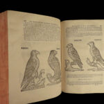 1775 Liger Rustic House Bees Beekeeping Hunting Wine Cuisine Rustique Falconry