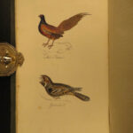 1834 1st ed BIRDS Feathered Tribes of Britain Mudie Ornithology Illustrated 2v