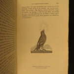 1834 1st ed BIRDS Feathered Tribes of Britain Mudie Ornithology Illustrated 2v