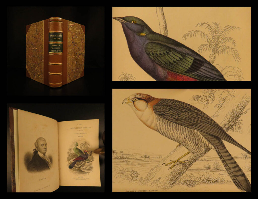1837 jardine birds ornithology africa grackles weavers turaco color illustrated | sir william jardine was a 19<sup>th</sup>-century scottish naturalist most known for his extensive series of books on natural history, ‘<em>the naturalist’s library’</em>.   this volume from ‘<em>the naturalist’s library, ornithology</em>’ is the famous volume of african birds – grackles, weavers, seedcrackers, turaco, crinifer (plantain-eater), and more. This volume showcases 32 exquisite hand-colored engravings of birds!