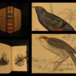 1837 Jardine BIRDS Ornithology AFRICA Grackles Weavers Turaco Color Illustrated