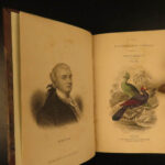 1837 Jardine BIRDS Ornithology AFRICA Grackles Weavers Turaco Color Illustrated