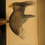 1837 Jardine BIRDS Ornithology AFRICA Grackles Weavers Turaco Color Illustrated