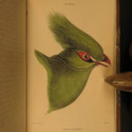 1837 Jardine BIRDS Ornithology AFRICA Grackles Weavers Turaco Color Illustrated