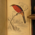 1837 Jardine BIRDS Ornithology AFRICA Grackles Weavers Turaco Color Illustrated