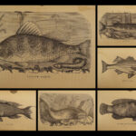 1875 FISHING Hook & Line Salmon Angling Sports Hunting Herbert Forrester Fish