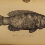 1875 FISHING Hook & Line Salmon Angling Sports Hunting Herbert Forrester Fish
