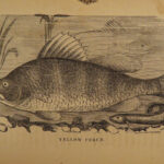 1875 FISHING Hook & Line Salmon Angling Sports Hunting Herbert Forrester Fish