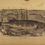 1875 FISHING Hook & Line Salmon Angling Sports Hunting Herbert Forrester Fish