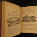 1892 1st ed Profits in POULTRY Chicken Breeding Turkey FARMING Agriculture