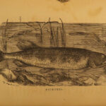 1875 FISHING Hook & Line Salmon Angling Sports Hunting Herbert Forrester Fish