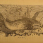 1875 FISHING Hook & Line Salmon Angling Sports Hunting Herbert Forrester Fish