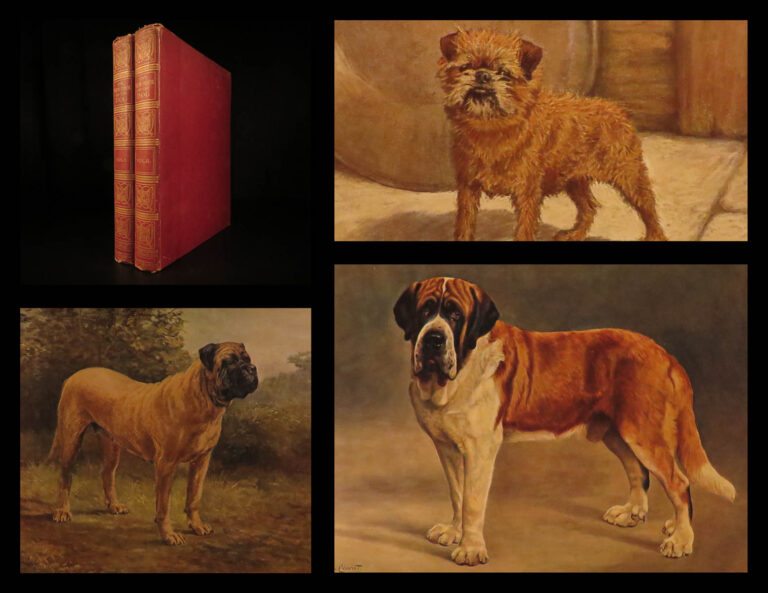 Image of 1911 1ed Book of the DOG British Dogs Illustrated Pomeranians Cynology Leighton