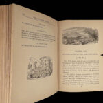 1878 FISHING Complete Angler Hunting Angling Fish Trout Cotton Walton Rivers