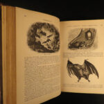 1874 Goodrich & Johnson Natural History ANIMALS Darwin Huxley Illustrated 2v SET
