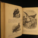 1874 Goodrich & Johnson Natural History ANIMALS Darwin Huxley Illustrated 2v SET