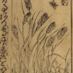 1787 Japanese Botany Illustrated Agriculture Farming Grain Nogyo Zensho Japan