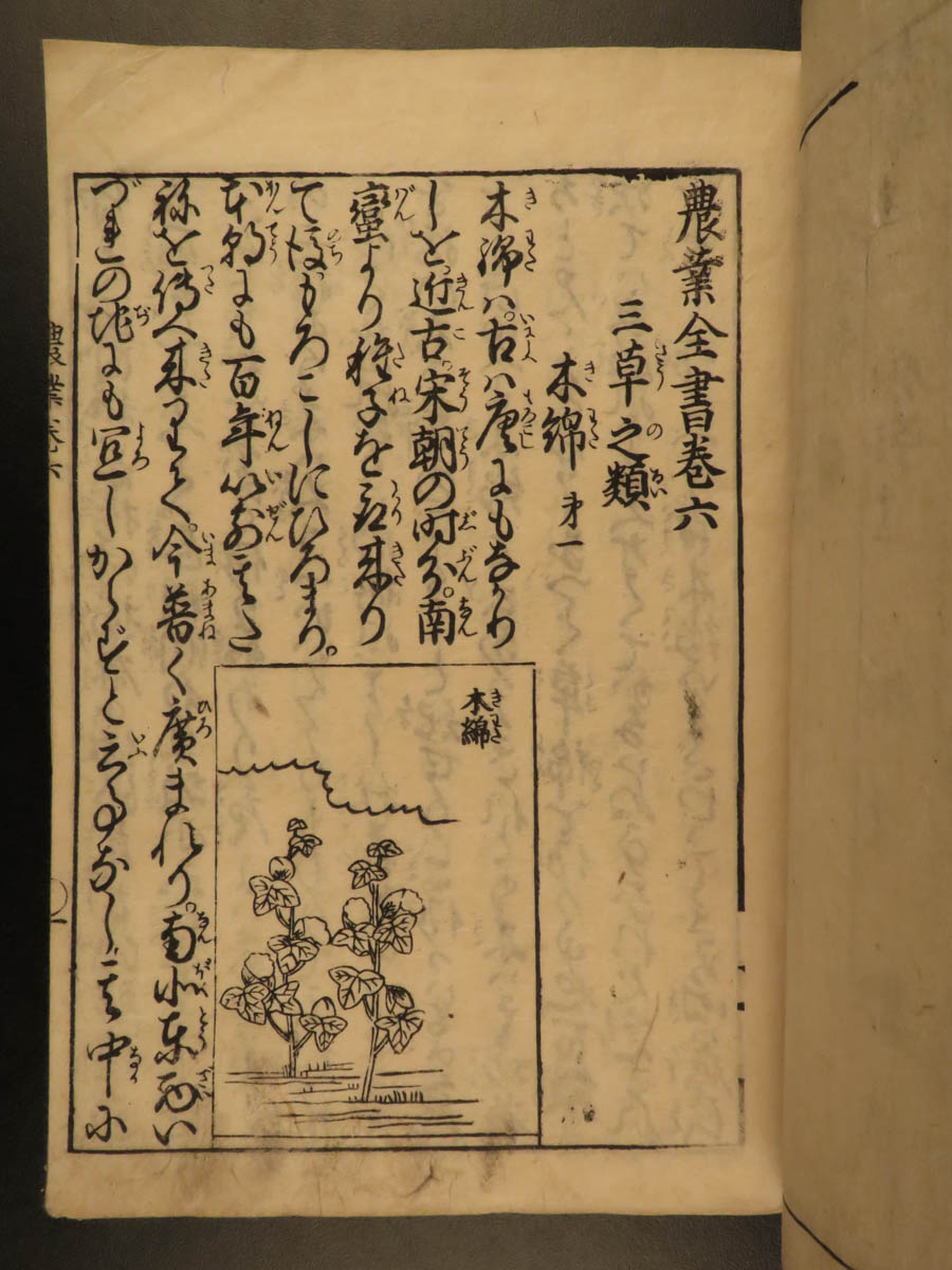 1787 Japanese Botany Illustrated Agriculture Farming Grain Nogyo