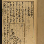 1787 Japanese Botany Illustrated Agriculture Farming Grain Nogyo Zensho Japan