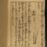 1787 Japanese Botany Illustrated Agriculture Farming Grain Nogyo Zensho Japan