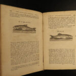 1784 Complete Angler Fishing Hunting Angling Fish Trout Cotton Walton Hawkins