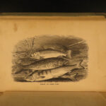 1856 Lanman Adventures 1st ed in Wilds America Florida Canada Hunting Travel