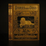 1882 1ed Stories About Dogs by Surr Harrison Weir ART Illustrated Pets Poems
