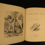 1882 1ed Stories About Dogs by Surr Harrison Weir ART Illustrated Pets Poems