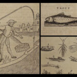 1784 Complete Angler Fishing Hunting Angling Fish Trout Cotton Walton Hawkins