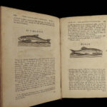 1784 Complete Angler Fishing Hunting Angling Fish Trout Cotton Walton Hawkins