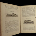 1784 Complete Angler Fishing Hunting Angling Fish Trout Cotton Walton Hawkins