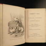 1851 PETS 1ed Loudon Domestic Cats Dogs Spaniels Song Birds Rabbits Weir Art
