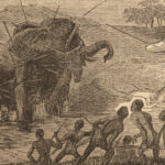 1859 AFRICA David Livingstone Missionary African Travel Illustrated Zambezi RARE