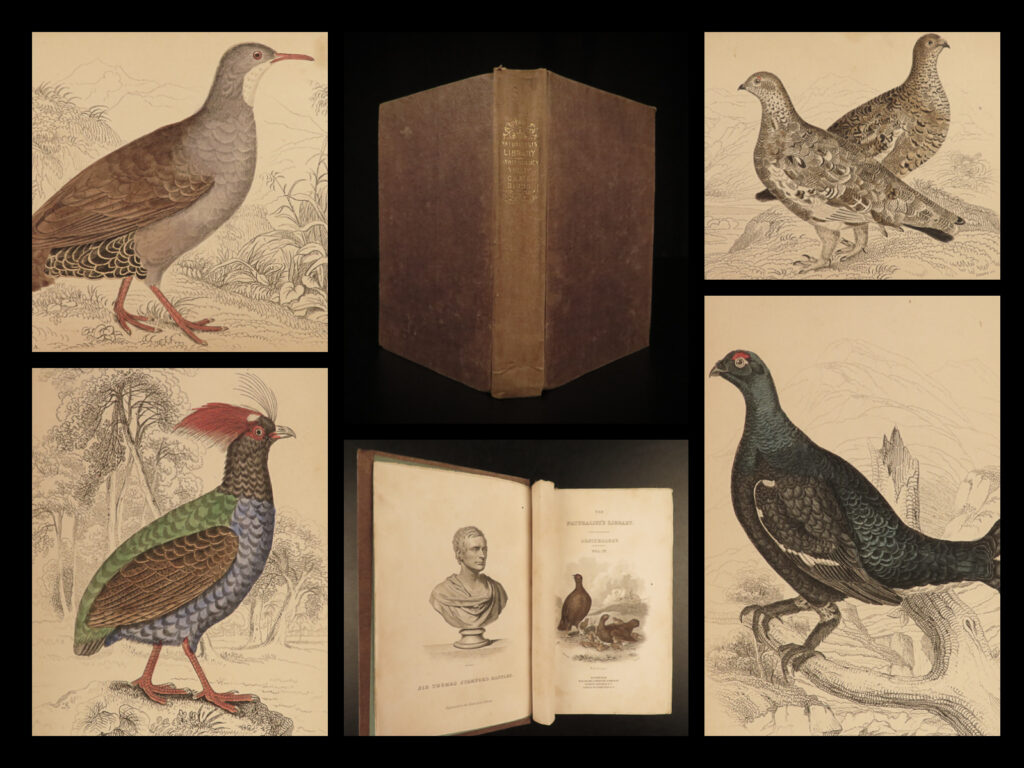 1834 birds jardine naturalist game ornithology partridge quail grouse illustrated | sir william jardine was a 19<sup>th</sup>-century scottish naturalist most known for his extensive series of books on natural history, ‘<em>the naturalist’s library’. </em> <em> </em> this edition of jardine’s ‘<em>ornithology’</em> is beautifully color illustrated with engravings of various species of birds! The plates from jardine’s works are exceedingly desirable and are found framed and displayed by themselves. This volume showcases game birds and other gallinaceous birds such as partridges, quails, grouses, and the ortyx and ortygis.